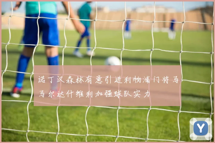 诺丁汉森林有意引进利物浦门将马马尔达什维利加强球队实力